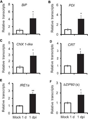 IRE1-bZIP60 Pathway Is Required for Nicotiana attenuata Resistance to Fungal Pathogen <mark class="highlighted">Alternaria alternata</mark>